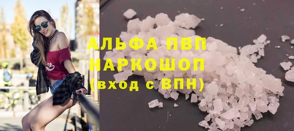 стаф Заводоуковск