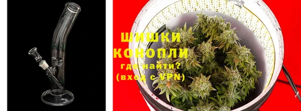 стаф Заводоуковск
