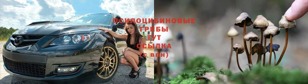 стафф Заволжск