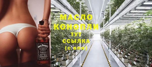 стаф Заводоуковск