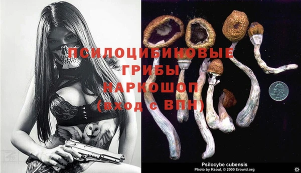 стафф Заволжск