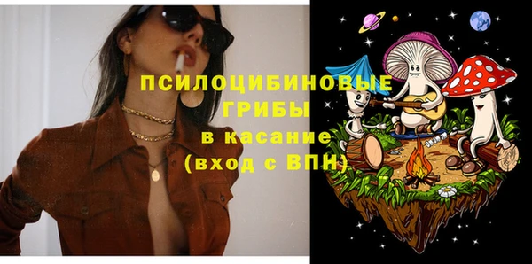 стаф Заводоуковск