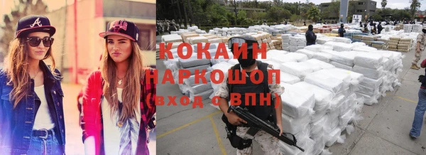 стаф Заводоуковск