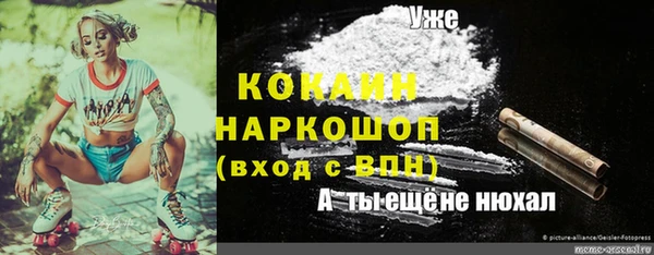 стафф Заволжск