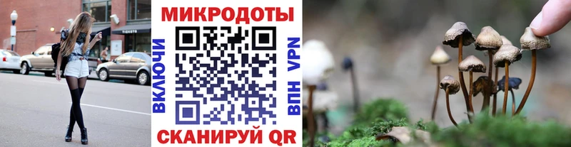 Псилоцибиновые грибы Magic Shrooms  Купить закладки  Клин 
